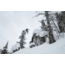 Weston Carbon Backwoods Splitboard - 21/22, White, 160, 106160045G