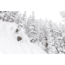 Weston Carbon Backwoods Splitboard - 21/22, White, 160, 106160045G