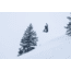 Weston Carbon Backwoods Splitboard - 21/22, White, 160, 106160045G