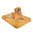 White Duck Dog Bed, Tan, 36inx27inx4in, FBA-PBT-3420