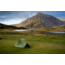 WildCountry Panacea Tent - 1 Person, Green, 44P1TF
