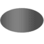 Wiley X Replacement Lenses - Smoke Gray *Only Lenses* 