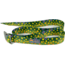 Wingo Outdoors Basecamp Belt, Brook Trout, One Size Fits Most, W-BAS-103-OS