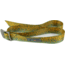 Wingo Outdoors Basecamp Belt - RepYourWater, Brook Trout, One Size Fits Most, W-BAS-503-OS