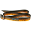 Wingo Outdoors Basecamp Belt - RepYourWater, Brown Trout, One Size Fits Most, W-BAS-504-OS