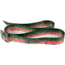Wingo Outdoors Basecamp Belt - RepYourWater, Rainbow Trout, One Size Fits Most, W-BAS-509-OS