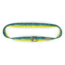 Wingo Outdoors Basecamp Belts, Mahi Mahi, One Size Fits Most, W-BAS-125-OS