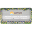 Wingo Outdoors License Plate Frame, Brook Trout, Double Haul, 12 x 7 inches, W-LIC-103-DH