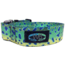Wingo Outdoors Wading Belt, Mahi Mahi, One Size Fits Most, W-WAD-109-OS
