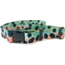 Wingo Outdoors Wading Belt, Rainbow Trout, One Size Fits Most, W-WAD-112-OS
