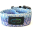 Wingo Outdoors Wading Belt, Tarpon, One Size Fits Most, W-WAD-116-OS