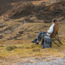 Woods Siesta Folding Reclining Padded Camping Chair, Dijon, CTI0765868