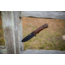 WOOX Rock 62 Fixed Blade Knife, 4.25 in, Drop Point, Mil-Spec Grey, Sleipner Steel Blade, Engraved American Walnut Handle, BU.KNF001.02