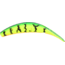 Wordens Rooster Tail 1/6 oz Fire Tiger Tux, Original Rooster Tail Spinner, #8 Treble Hook, 210-FRT-TUX