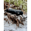 X-Vision XVT Thermal Monocular, Black, Small, TM1