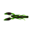Yamamoto Baits PsychoDad Crawdad Bait, 4in, 5pk, Watermelon with Large Black & Small Red, 3K-05-208