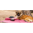Yeti Boomer 4 Dog Bowl, Black, 21071504136