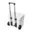 Yeti Roadie 60 Hard Cooler, White, 10023020000