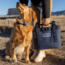 Yeti Camino Zip Carryall 12L Tote Bag