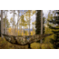 Yukon Outfitters Stealth Hammock, Multicam, AP-stealth1