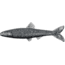 Yum Ned Minnow Bait, 3in, Phantom, YNM3371