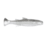 Z-man Mulletron Swimbait Lure, 4 Pack, Smoky Shad, 3.3in, MT3-57PK4