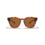 Zeal Optics Windsor Polarized Sunglasses, Matte Tortoise 11478
