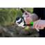 Lew's Cat Daddy Spinning Reel &amp; Rod Combo, 7ft, 2-PC Rod, SZ 50 Reel, CDS5070MH-2