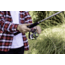 Zebco Stinger Spinning Reel, SZ 60 Changeable Righ/Left Retrieve, All-Metal Gears, Ball Bearing System, Pre-Spooled w/ 20lb Zebco Line, Silver/Black, Clam Pack, SSP60A.CP3