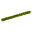 Zoom Centipede Finnesse Worm, 20 Pack, 4in, Kudzu, 007102X