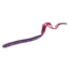 Zoom Olft Monster Worm, 9, 0.5in, Plum Crazy, 026285-SP