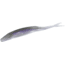 Zoom Super Fluke Baitfish Imitator, 10 Pack, 5.25in, Purple Smoke, 023344X
