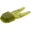 Zoom Tiny Chunk Jig Trailer, 5 Pack, 2in, Watermelon Seed, 029019X