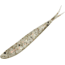 Zoom Tiny Fluke Baitfish Imitator, 20 Pack, 3in, Golden Bream, 081130X