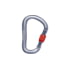 Black Diamond Rocklock Screwgate Carabiner, Gray, BD2102561003ALL1