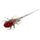 Rapala BAMF Panfish Plastics Creature Bait, 6, 5in, Cherry Bomb, BA-CB