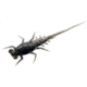 Rapala Bernie Panfish Plastics Soft Bait, 6, 5in, Black Magic, BN-BM