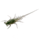 Rapala Bernie Panfish Plastics Soft Bait, 6, 5in, Greenhead, BN-GH
