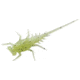 Rapala Bernie Panfish Plastics Soft Bait, 6, 5in, Radioactive Pickle, BN-RP