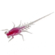 Rapala Bernie Panfish Plastics Soft Bait, 6, 5in, Snozberry, BN-S