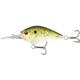 Rapala Cliff Banger Crankbait 11/16oz, 12ft, Louisiana Frog Cakes, 3in, CB12-11