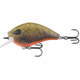 Rapala Flatty Daddy Flat Sided Crankbait 2.5in, 1/2oz, Day Old Guac, 2.5in, FD65-6-2