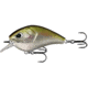 Rapala Flatty Daddy Flat Sided Crankbait 2.5in, 1/2oz, Epic Shad, 2.5in, FD65-6-4