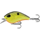 Rapala Flatty Daddy Flat Sided Crankbait 2.5in, 1/2oz, Tweetie Pie, 2.5in, FD65-6-30