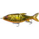 Rapala Glidesdale Glide Bait 6.6in, 2.5oz, Goldilocks, 6.6in, G185-67