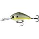 Rapala Jabber Jaw Hybrid Squarebill 1/2oz, 3-5ft, Olive Shad, 2.3in, JJC60-61