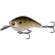 Rapala Jabber Jaw Hybrid Squarebill 1/2oz, 3-5ft, Truffle Butter, 2.3in, JJC60-20