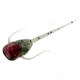 Rapala Paralyzer Panfish Plastics Soft Bait, 6, 5in, Cherry Bomb, PL-CB