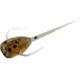 Rapala Paralyzer Panfish Plastics Soft Bait, 6, 5in, Panfish Whiskey Sour, PL-WS