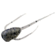 Rapala Paralyzer Panfish Plastics Soft Bait, 6, 5in, Potentially Purple, PL-PP